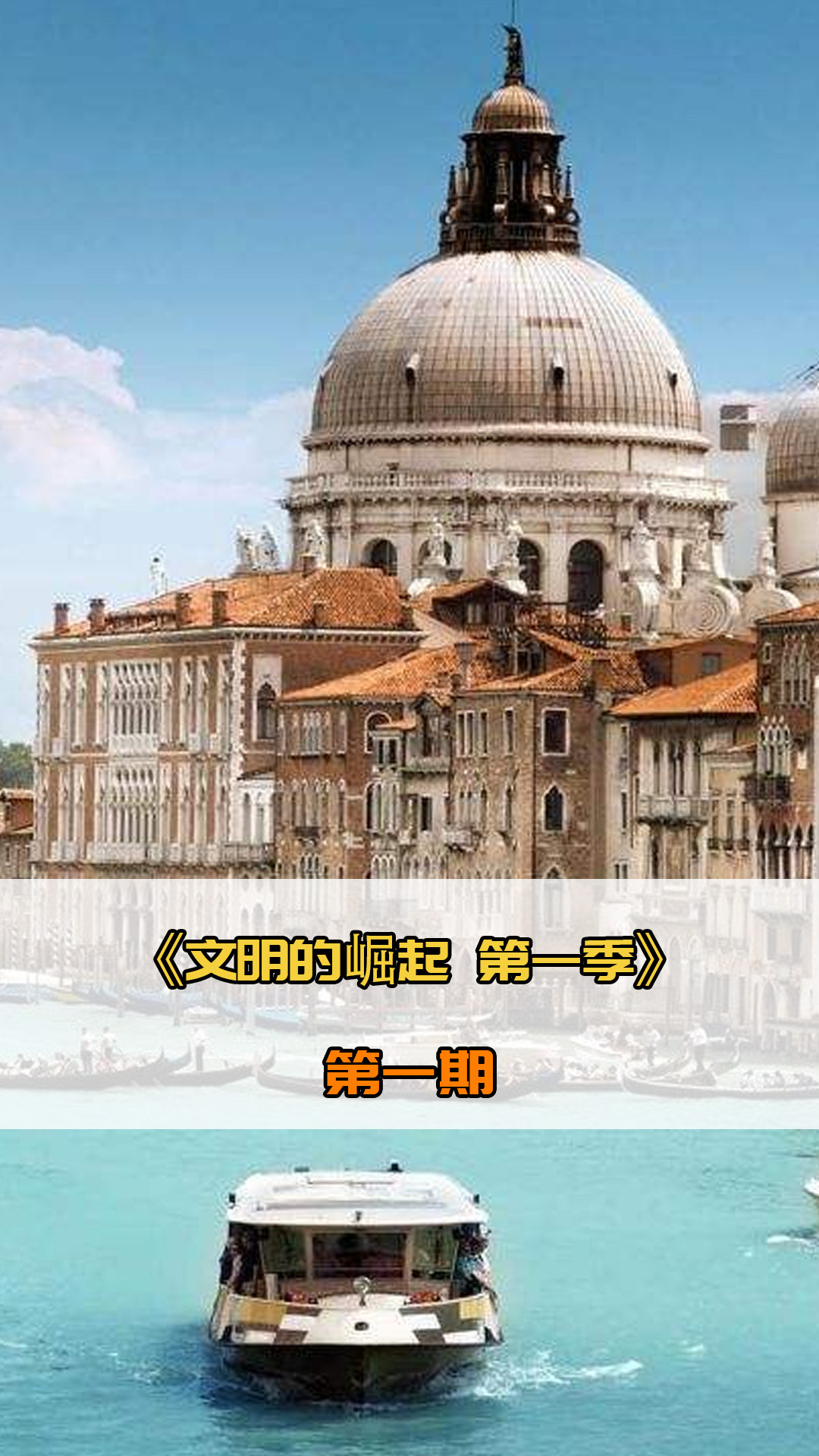 水平和专业